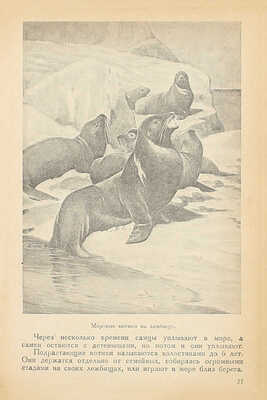 Лебедев А.И. К ледяному сердцу Арктики. Путешествия на далекий север (с XVI века). 2-е изд., перераб. М.: Учпедгиз, 1935.